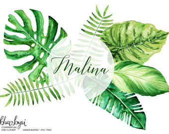 340x270 Watercolor Palm Leaf Etsy - Palm Leaves Watercolor