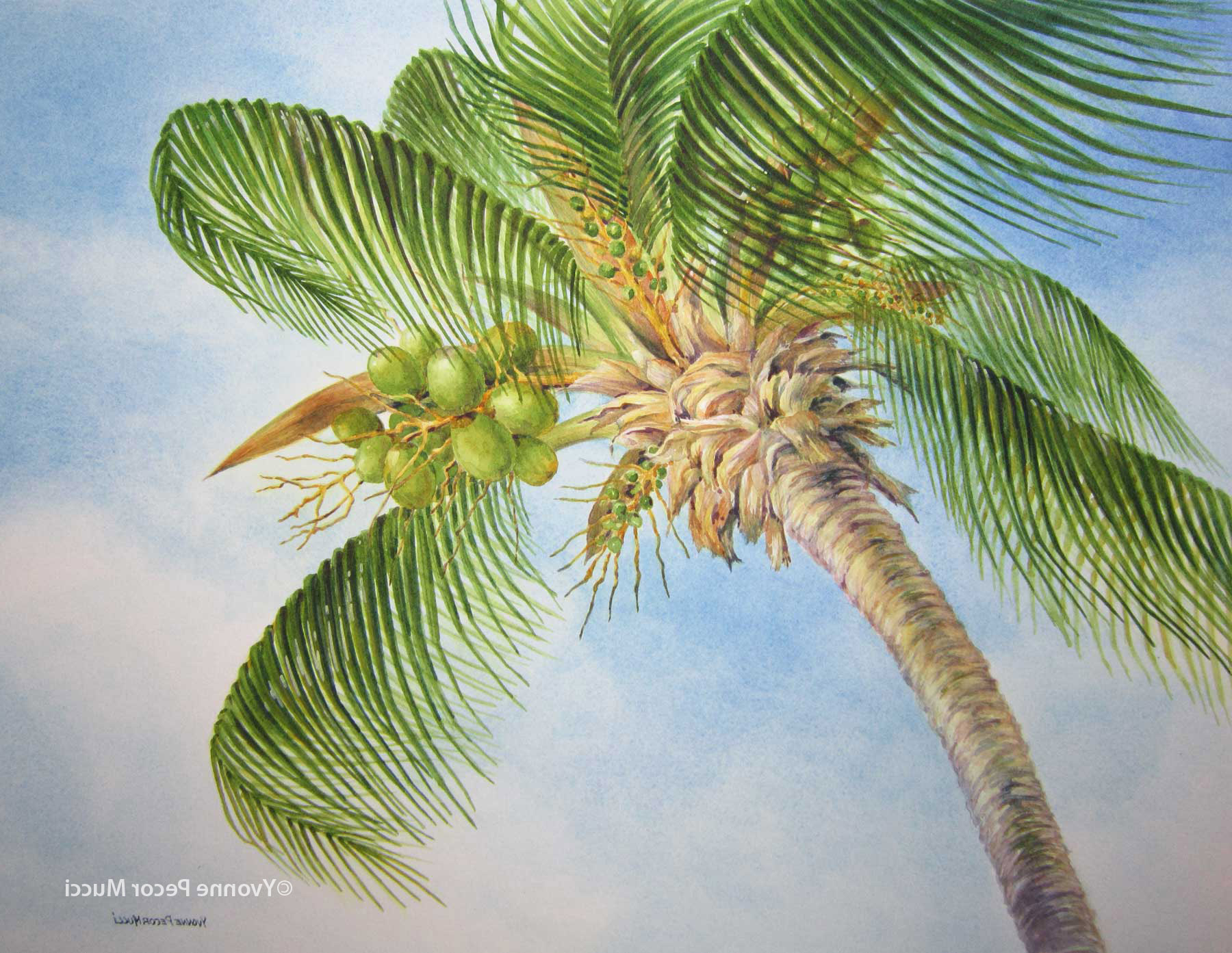 1800x1393 Painting Palm Trees In Watercolor Painting Trees With Watercolor - Palm Tree Watercolor Paintings