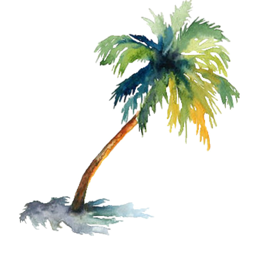 900x900 Painting Palm Trees In Watercolor Watercolor Painting Arecaceae - Palm Tree Watercolor Paintings