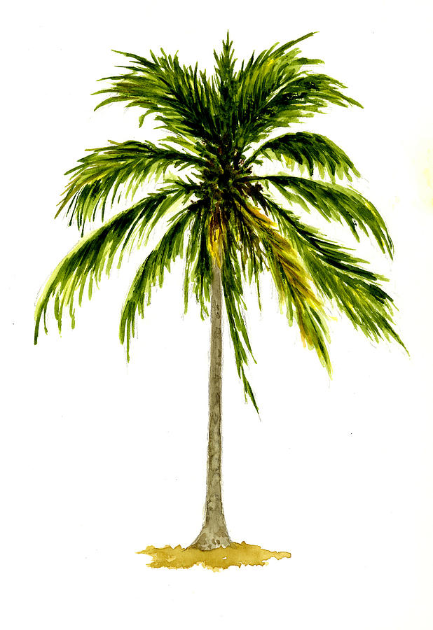 618x900 Palm Tree Number 2 Painting By Michael Vigliotti - Palm Tree Watercolor Paintings