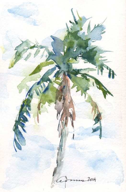 526x800 Palm Tree Painting Beautiful 455 Best Watercolor Trees Images On - Palm Tree Watercolor Paintings