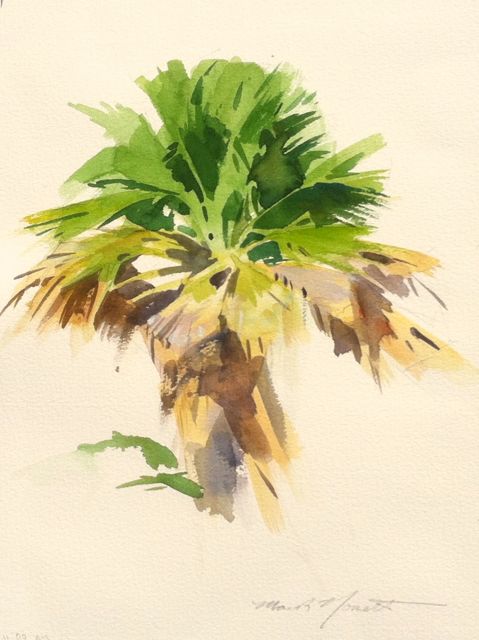 479x640 Palm Tree Study In Watercolor Mark Norseth Fine Paintings - Palm Tree Watercolor Paintings