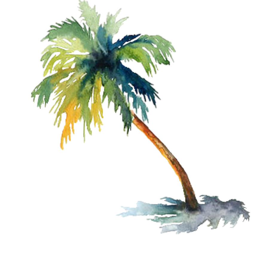 900x900 Watercolor Painting Arecaceae Drawing Tree - Palm Tree Watercolor Paintings
