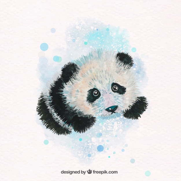 626x626 Lovely Watercolor Panda Vector Free Download - Panda Watercolor