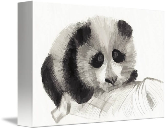 650x507 Panda (Watercolor) By Stefano Geminiani - Panda Watercolor
