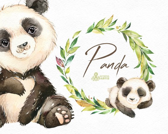 570x453 Panda. Watercolor Little Animal Clipart Floral Wreath Etsy - Panda Watercolor