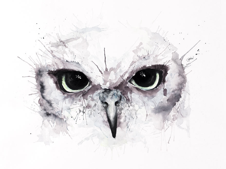 880x660 Quiet Animals In Loud Watercolors Bored Panda - Panda Watercolor