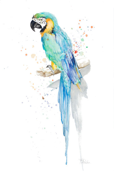 402x600 Sundance Graphics Image Detail - Parakeet Watercolor