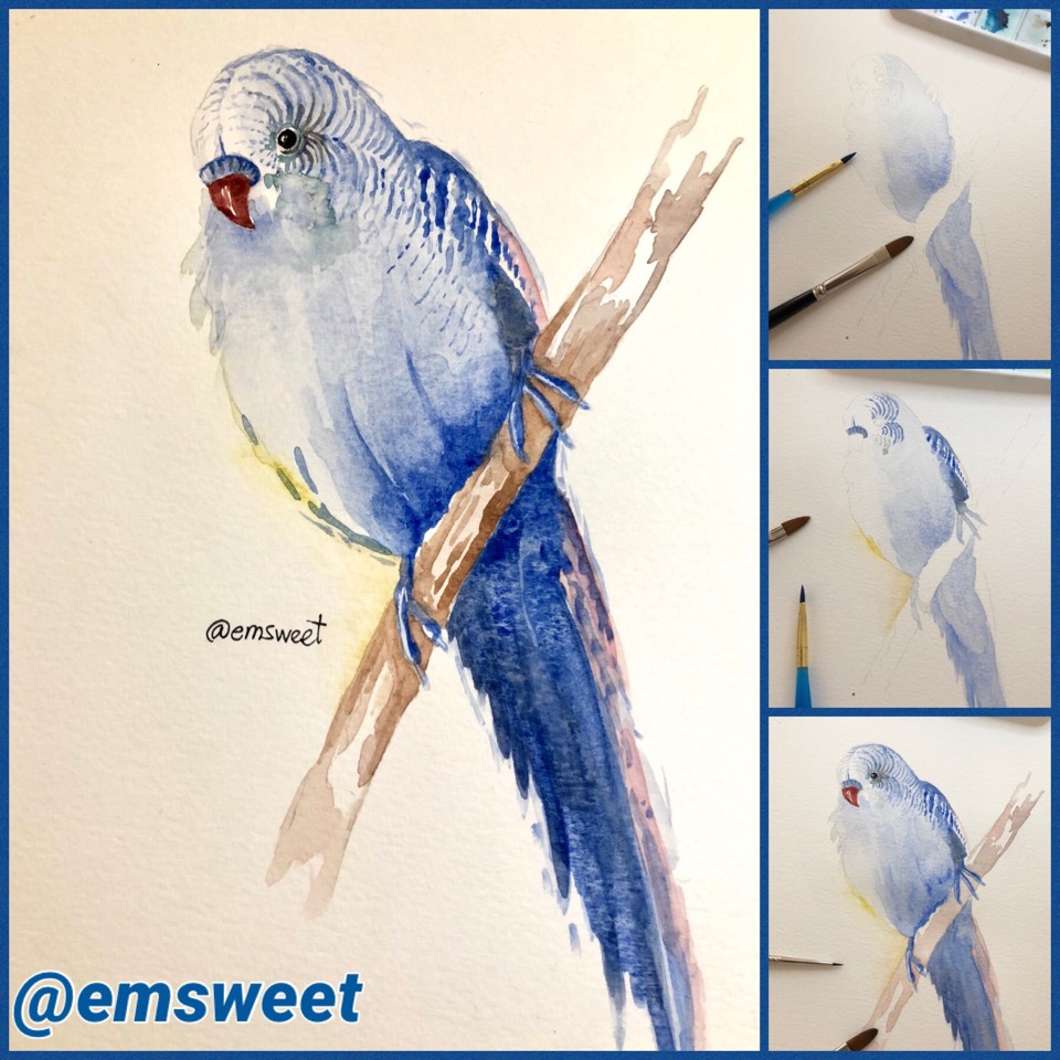 960x960 Watercolor Painting Of A Parakeet - Parakeet Watercolor