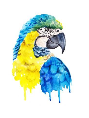 366x488 Watercolor Parrot Portrait. Posters By Maria Sem - Parakeet Watercolor