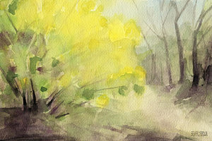 300x200 Forsythia In Central Park Watercolor Landscape Painting Painting - Park Watercolor