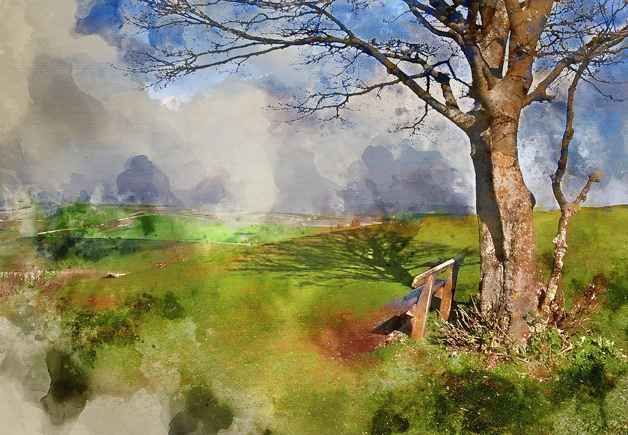 900x624 Watercolor Painting Of Park Bench And Tree Overlooking Beautiful - Park Watercolor