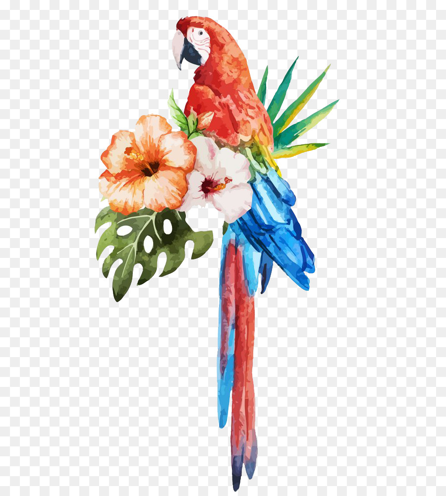 900x1000 Parrot Bird Watercolor Painting Stock Photography - Parrot Watercolor