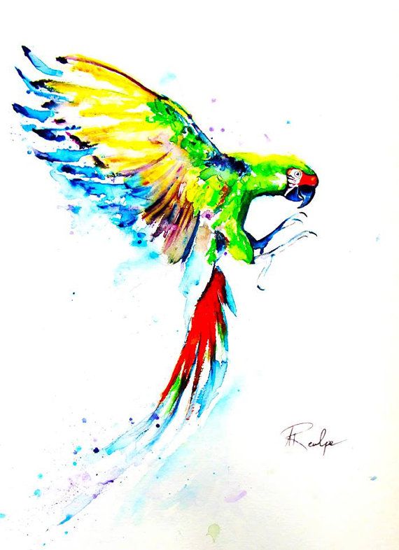 570x786 Parrot Painting - Parrot Watercolor
