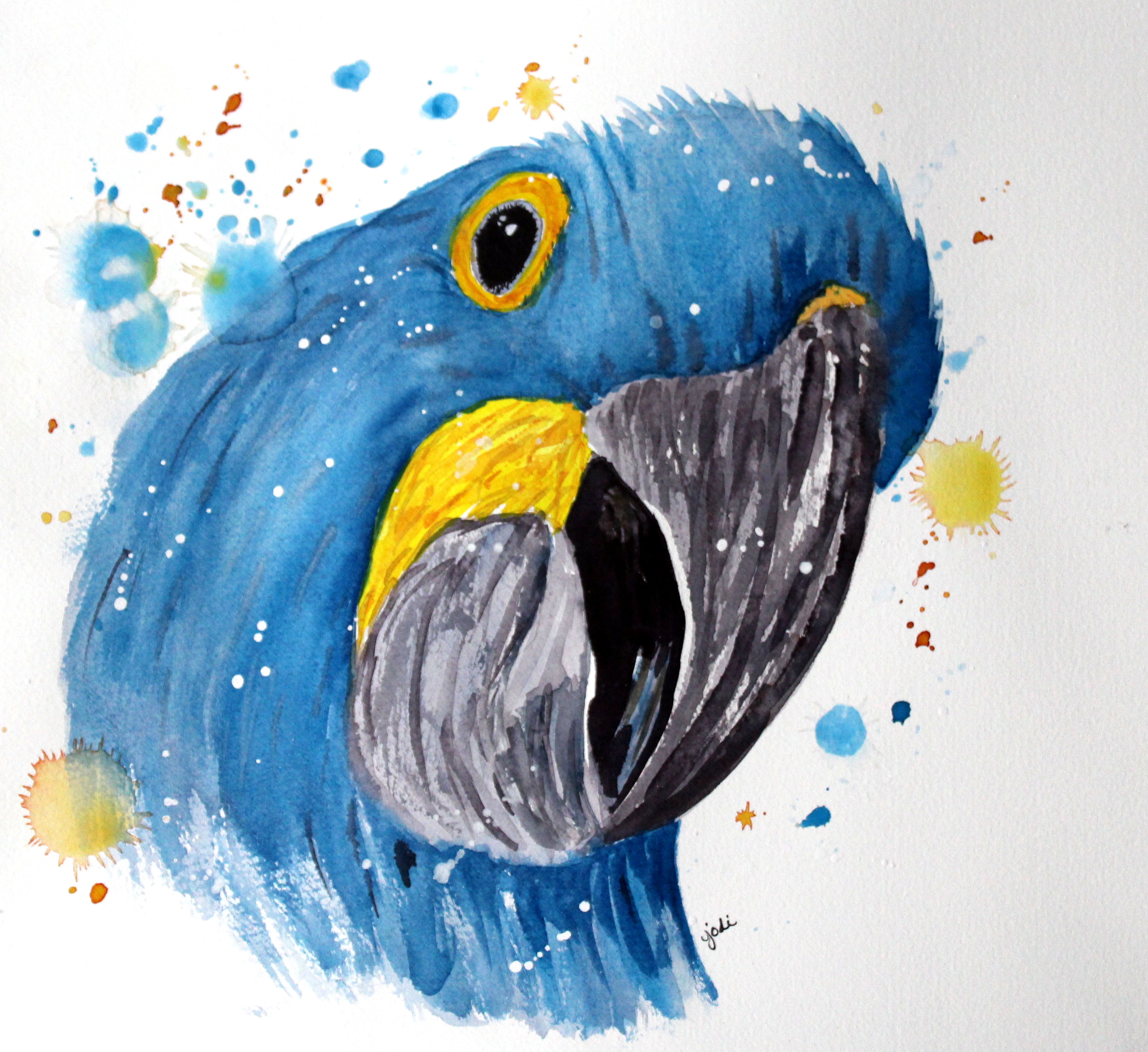 3062x2805 September 2017 The Creative Life In Between - Parrot Watercolor