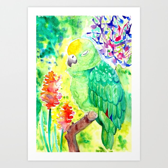 700x700 Sleepy Parrot Watercolor Painting Art Print By Ilylilyart - Parrot Watercolor