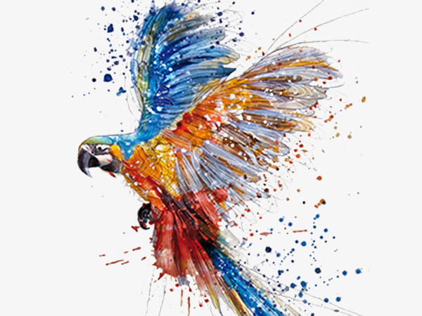600x450 Watercolor Dancing Parrot, Watercolor Clipart, Dancing Clipart - Parrot Watercolor
