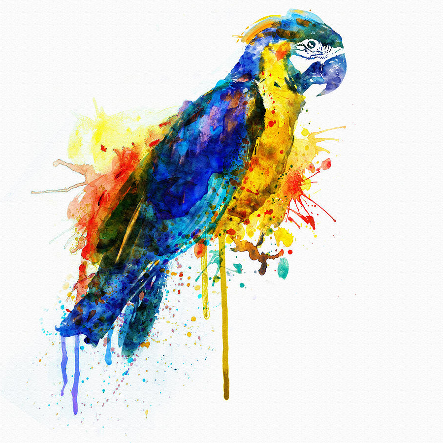 Parrot Watercolor at PaintingValley.com | Explore collection of Parrot ...