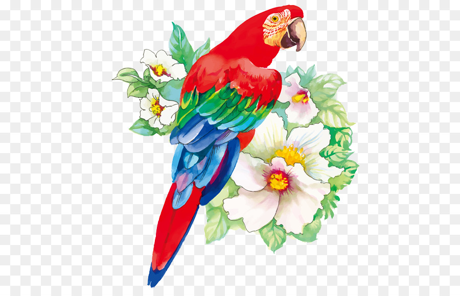 900x580 Bird Flower Drawing Watercolor Painting - Parrot Watercolor