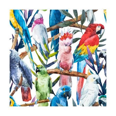 473x473 Watercolor Parrot Pattern Art By Zenina - Parrot Watercolor