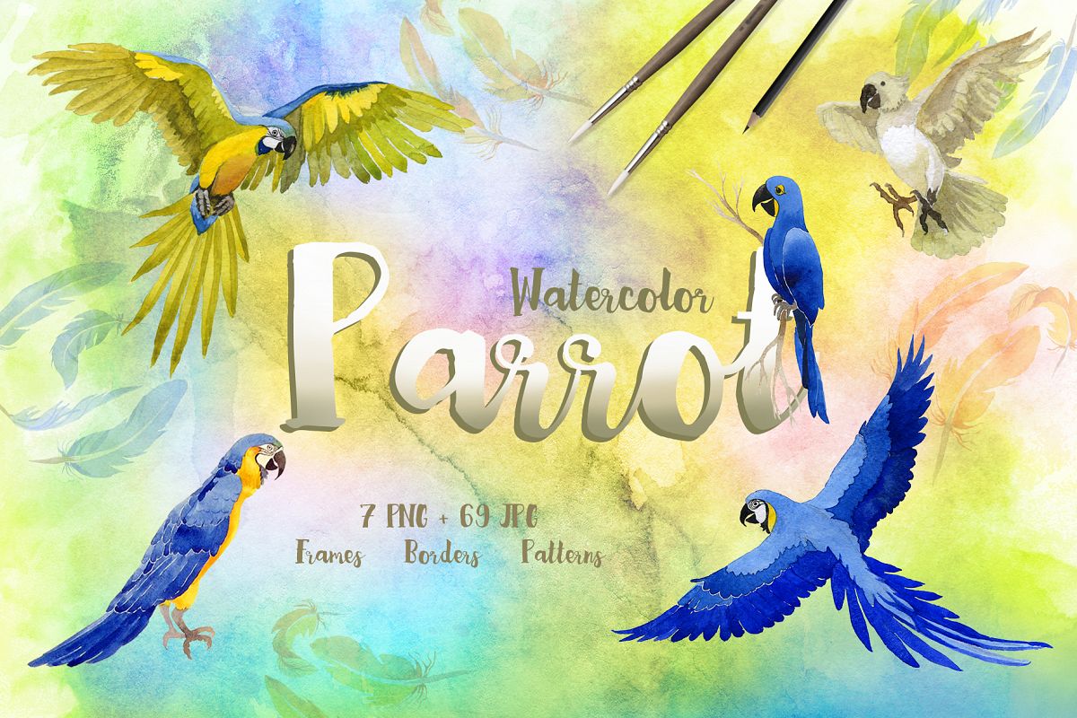 1200x800 Watercolor Cool Parrot Png Bird Set - Parrot Watercolor