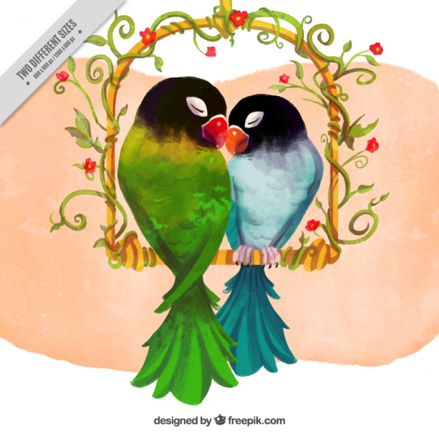 626x626 Watercolor Parrot Couple Vector Free Download - Parrot Watercolor