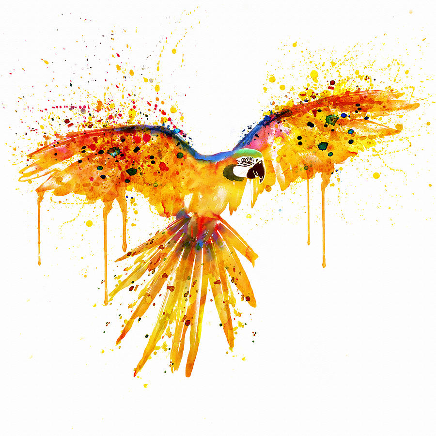 900x900 Flying Parrot Watercolor Painting By Marian Voicu - Parrot Watercolor