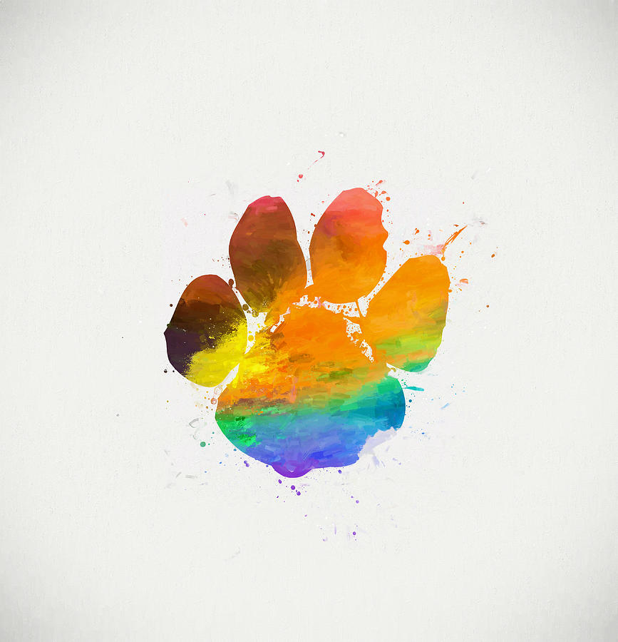 867x900 Paw Print Color Painting By Dan Sproul - Paw Print Watercolor