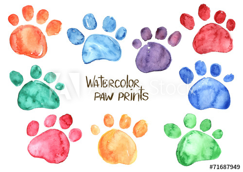 500x354 Set Of Watercolor Animal Footprints - Paw Print Watercolor