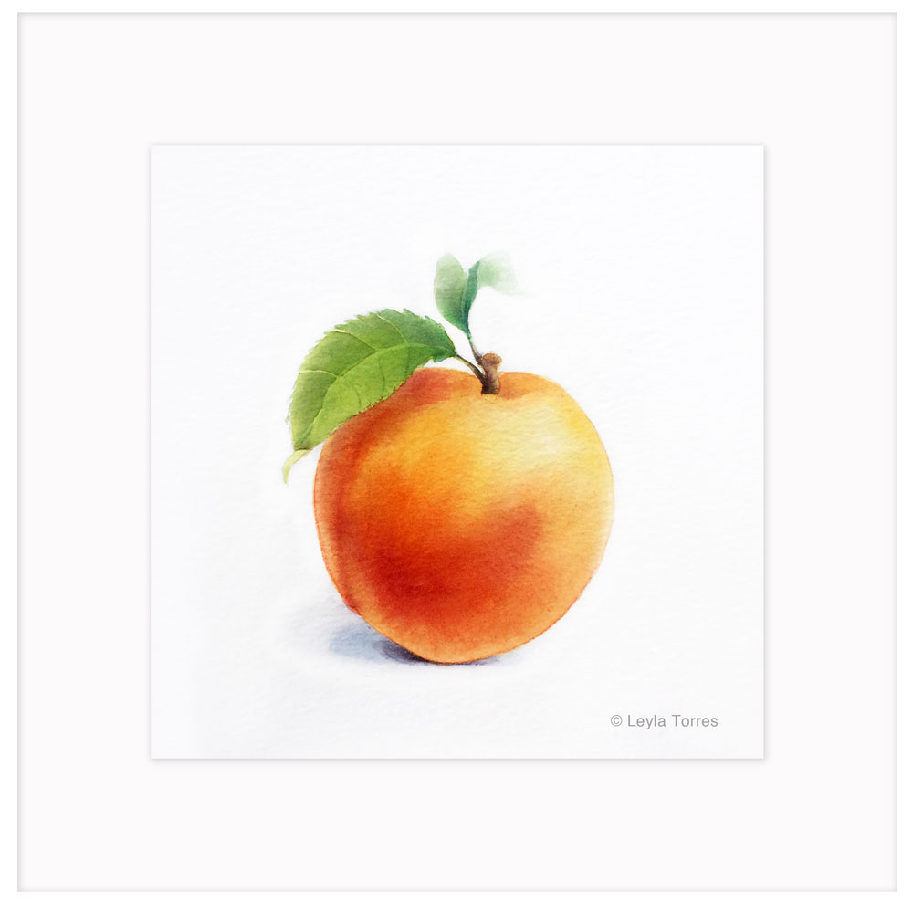 1000x1000 Peach Watercolor Art For Sale - Peach Watercolor