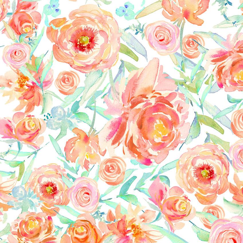 848x848 Peach Peony Watercolor Wallpaper - Peach Watercolor