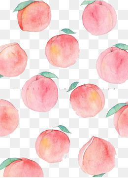 260x361 Watercolor Peach Png, Vectors, Psd, And Clipart For Free Download - Peach Watercolor