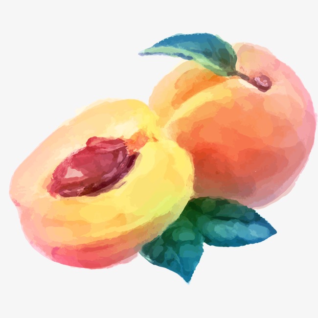 650x650 Watercolor Peach Vector Material, Watercolor Vector, Watercolor - Peach Watercolor