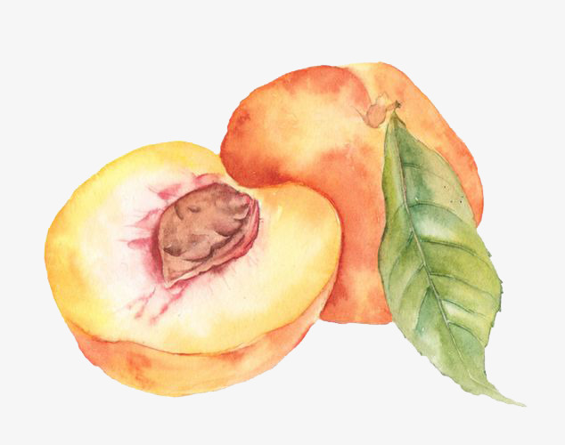 634x500 Watercolor Peaches, Watercolor Clipart, Peach, Food Png Image And - Peach Watercolor