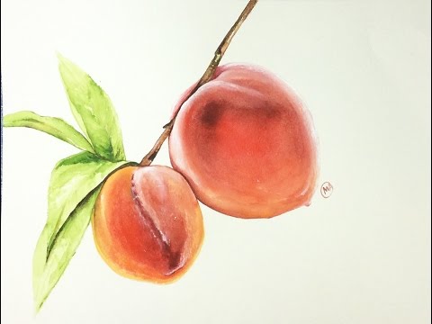 480x360 Watercolor Realistic Peaches Painting Demonstration - Peach Watercolor