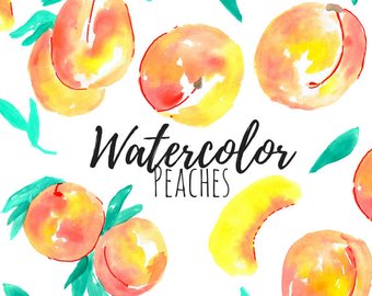 340x270 Watercolor Peach Etsy - Peach Watercolor
