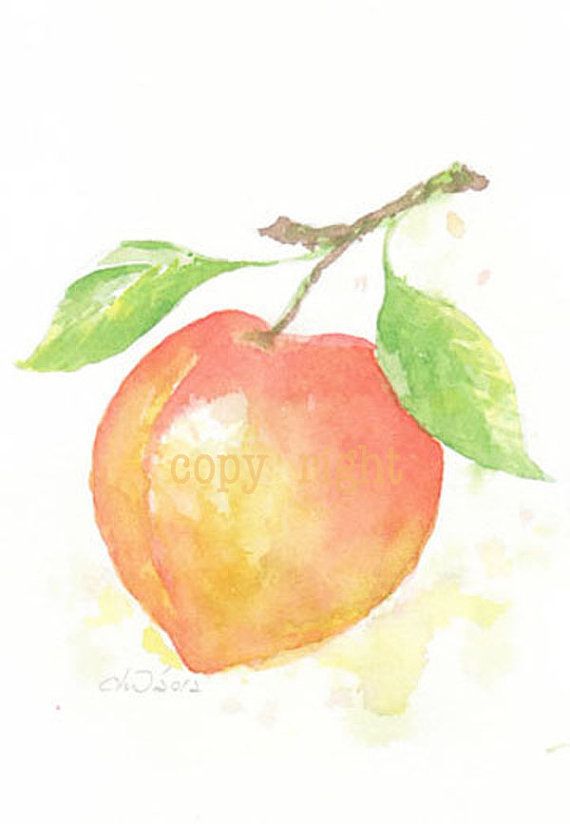570x824 Fruit, Fruit Print, Giclee Art, Watercolor, Watercolor Painting - Peach Watercolor