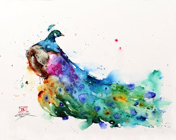 570x456 Peacock Watercolor Print Peacock Painting Bird Art By Dean Etsy - Peacock Watercolor