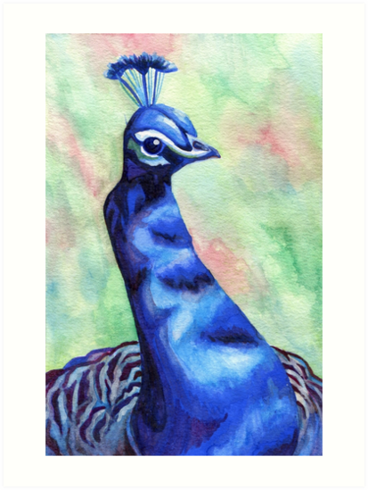 413x549 Peacock Watercolor Painting - Peacock Watercolor