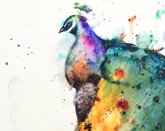 340x270 Peacock Watercolor Etsy - Peacock Watercolor