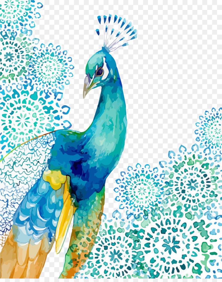 900x1140 Peafowl Watercolor Painting Drawing Feather - Peacock Watercolor