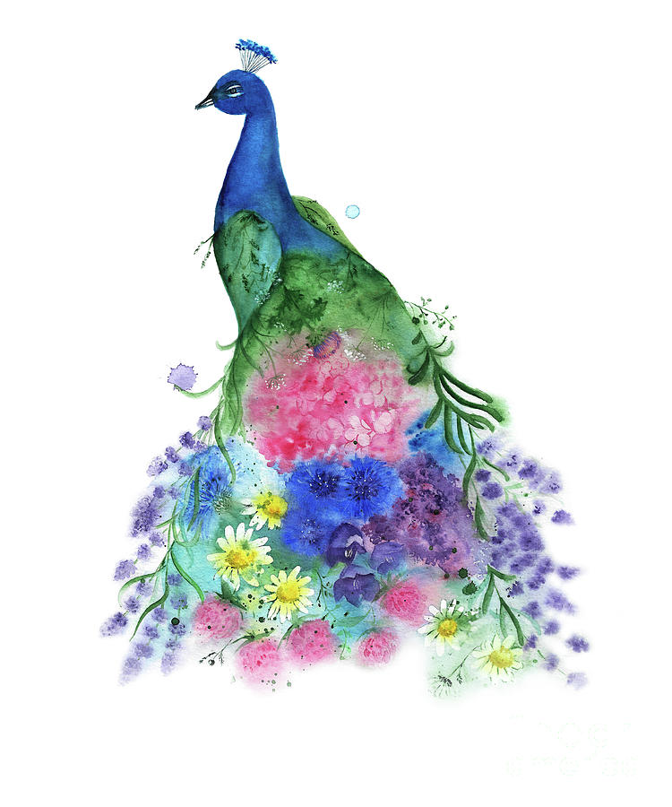 750x900 Watercolor Peacock Drawing By Liliya Suleymanova - Peacock Watercolor
