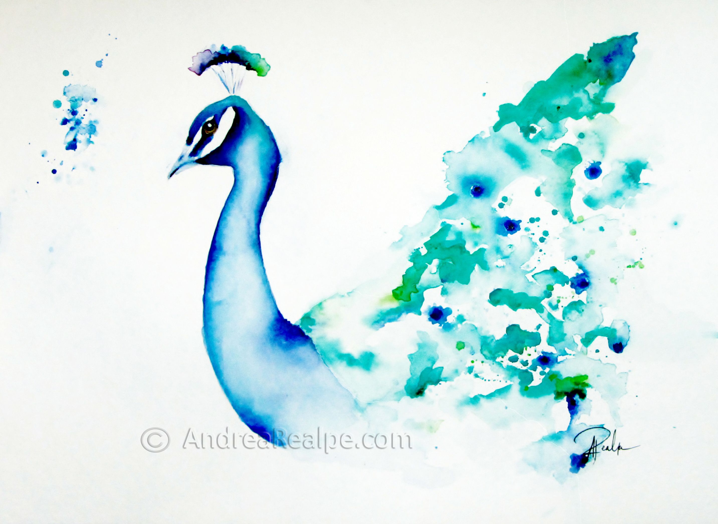 2865x2094 Watercolour Peacock - Peacock Watercolor