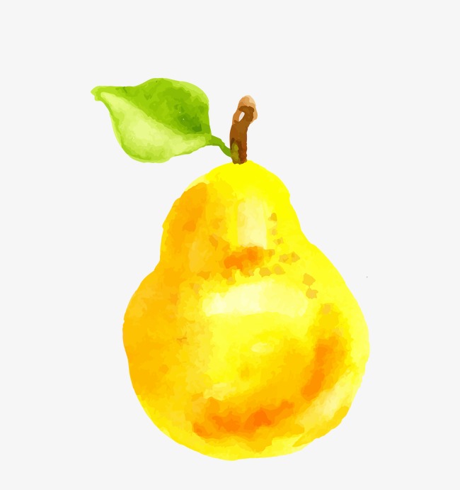 650x691 Pear, Watercolor, Fresh, Fruit Png And Vector For Free Download - Pear Watercolor