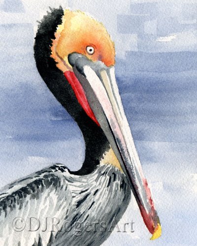 400x500 Pelican Watercolor Art Print Signed By Artist Dj - Pelican Watercolor