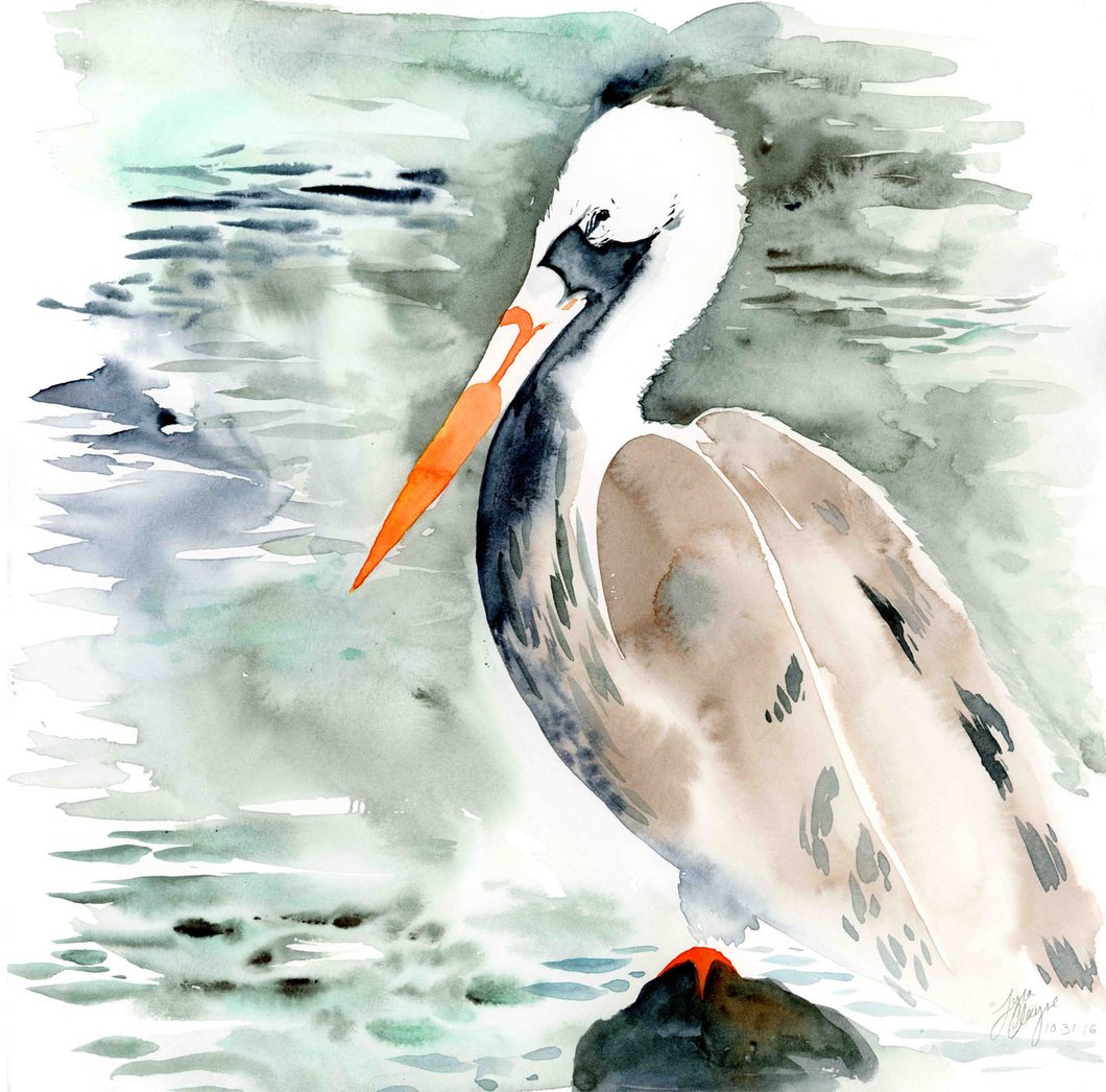 1060x1046 Pelican Watercolor Mini Print Dat City Stuff - Pelican Watercolor