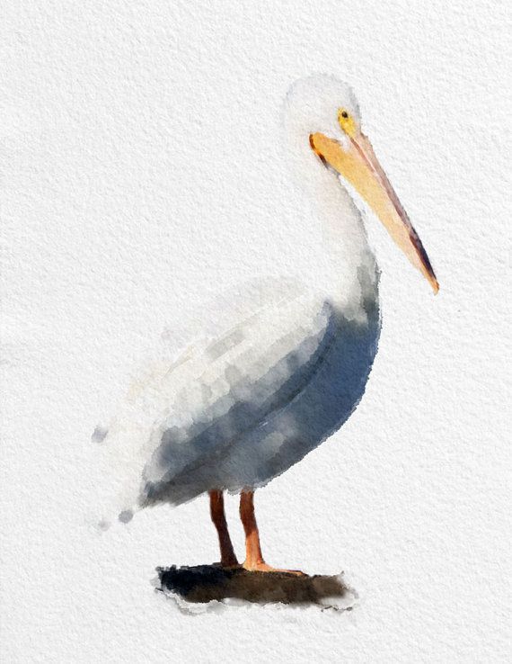 570x738 Pelican Watercolor Painting Art Print Bird Watercolor Black White - Pelican Watercolor