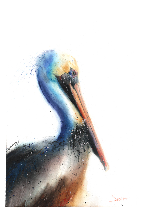 600x900 Pelican Watercolor Print Watercolor Animal Paintings - Pelican Watercolor