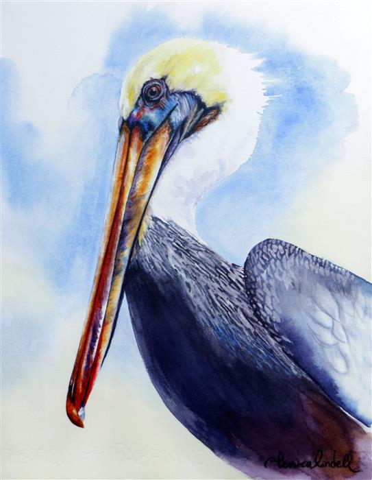 Pelican Watercolor at PaintingValley.com | Explore collection of ...