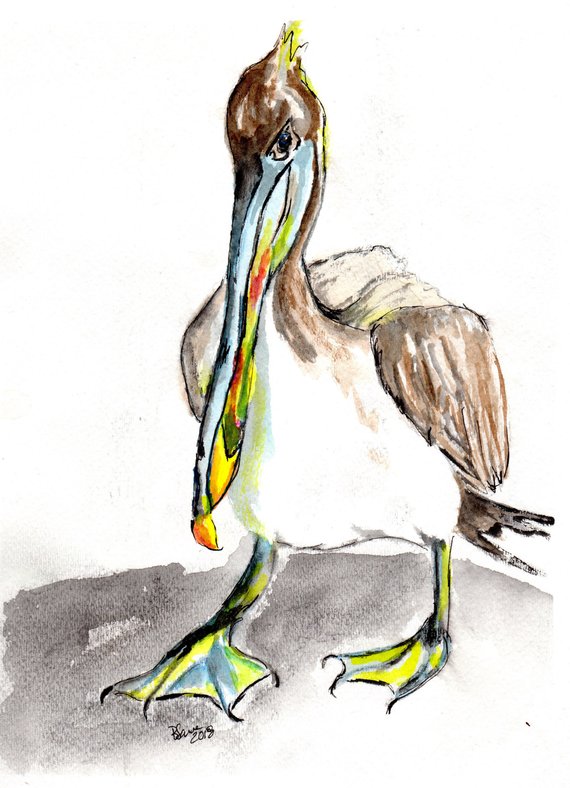 570x788 Brown Pelican Watercolor Painting. Pelican Beach Art In Etsy - Pelican Watercolor